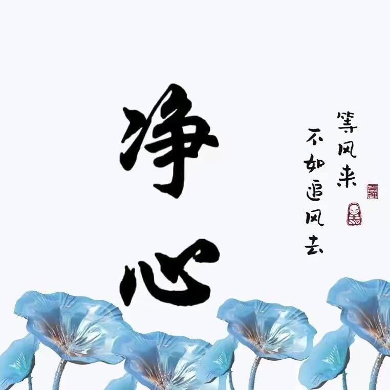 净心说兔