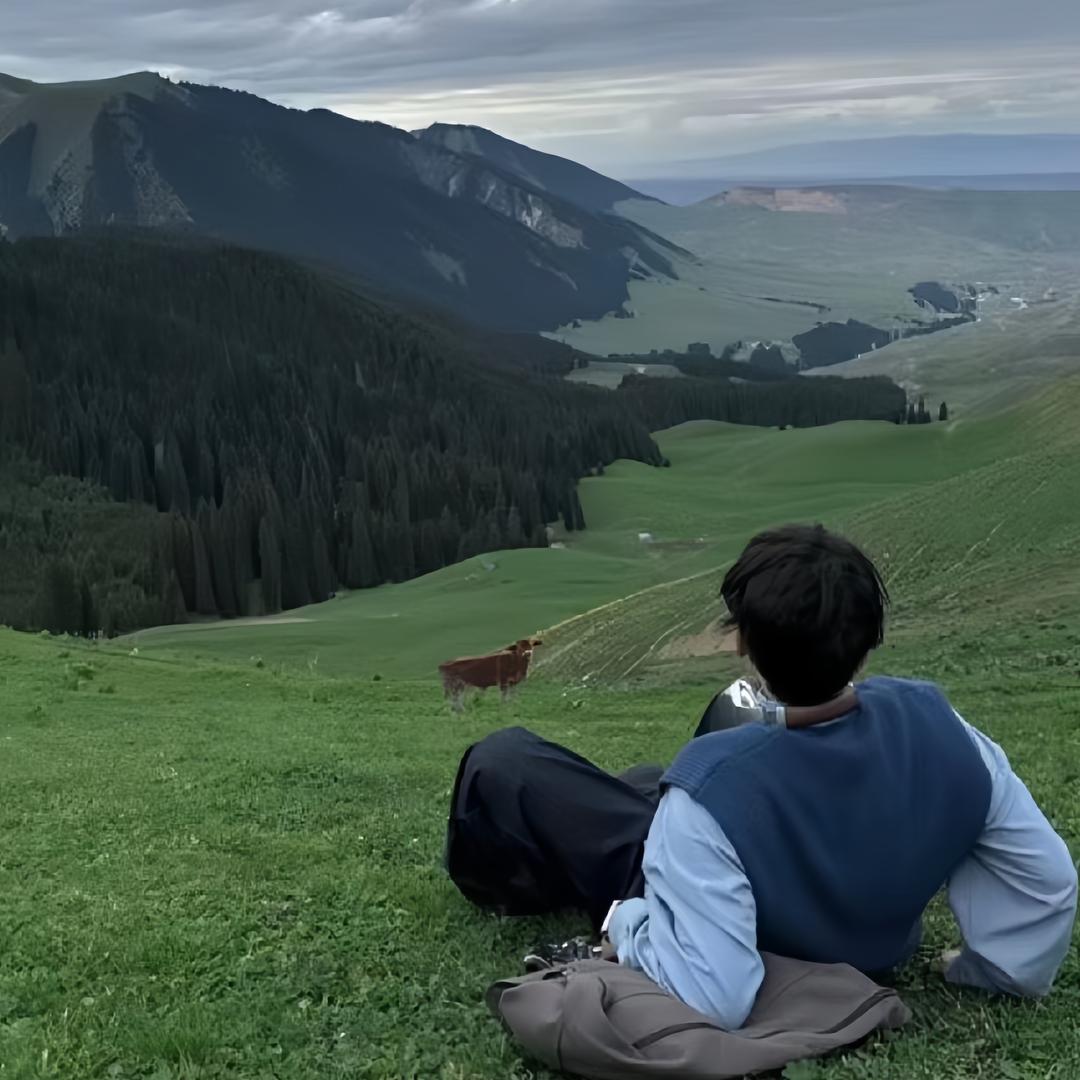 大鹅不是呆头鹅