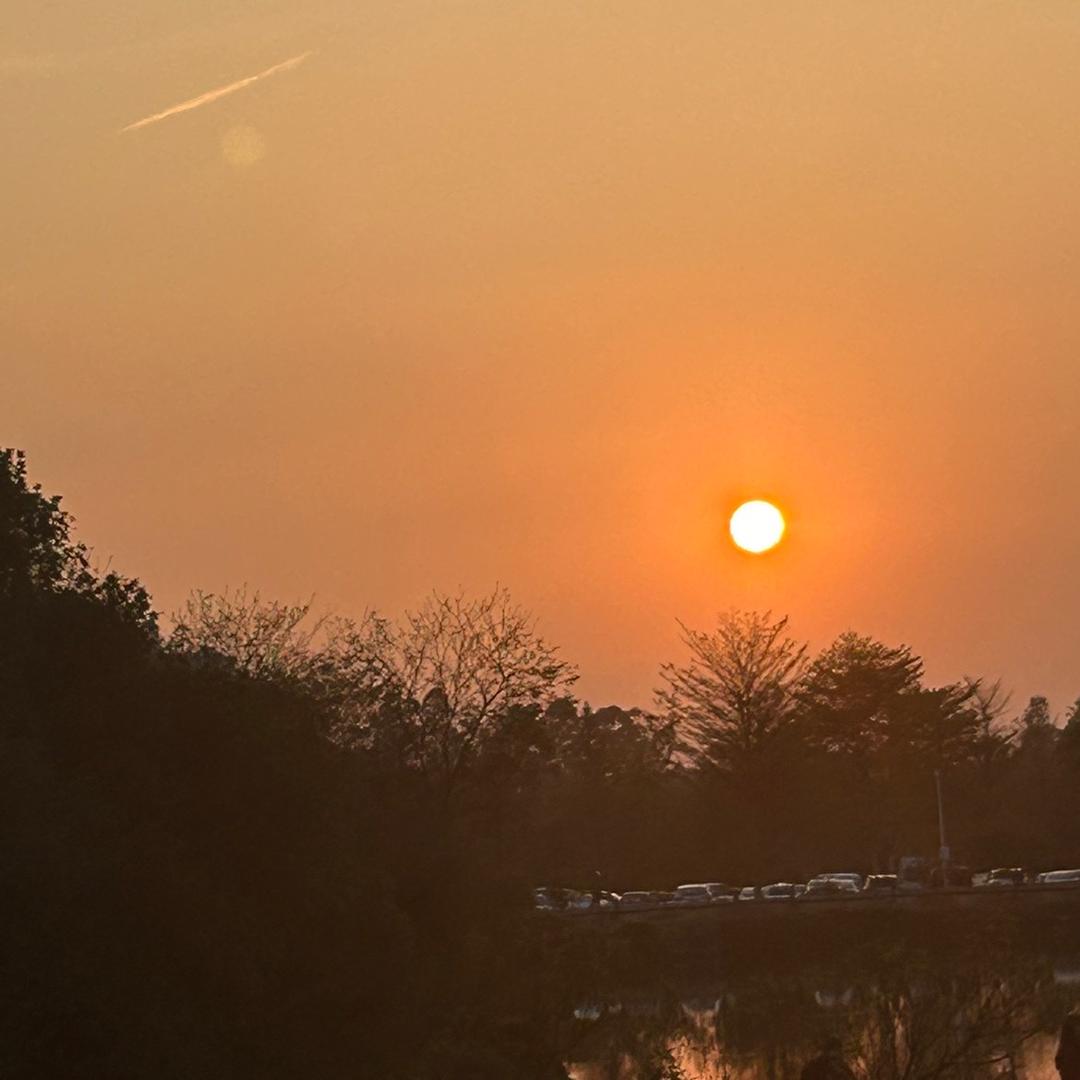 佛山世策地产李敏