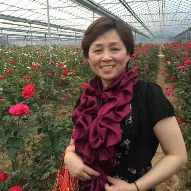 织珠霞姐
