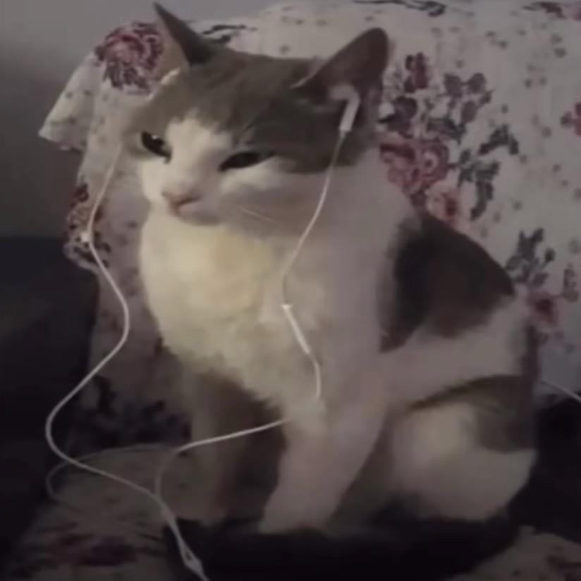 𐌉𐌌 𐌔𐌏 𐌔𐌀𐌃