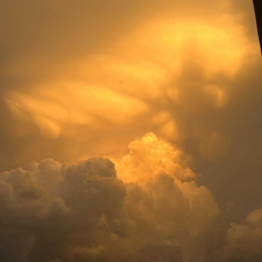 Xx 王仔啾啾糖🍬༄