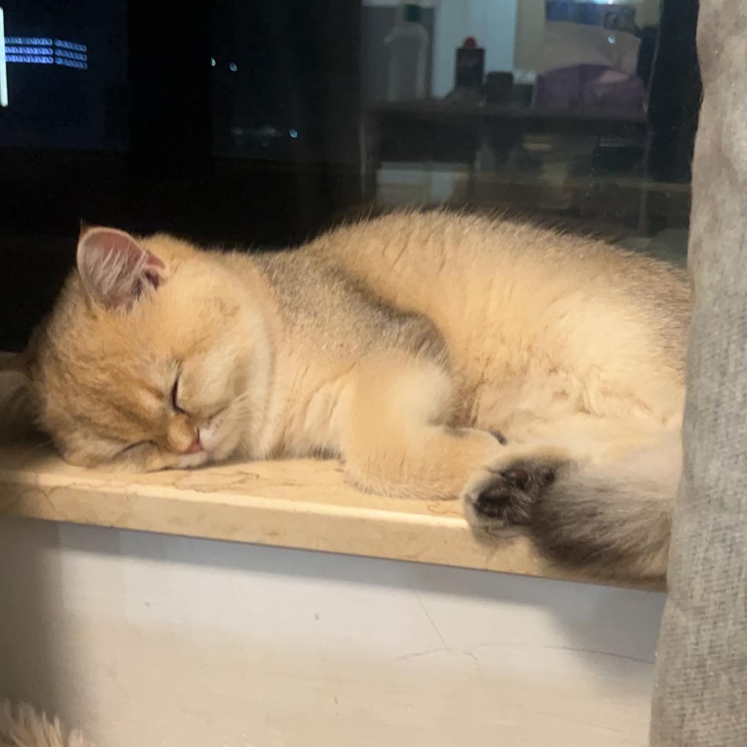 最后一次