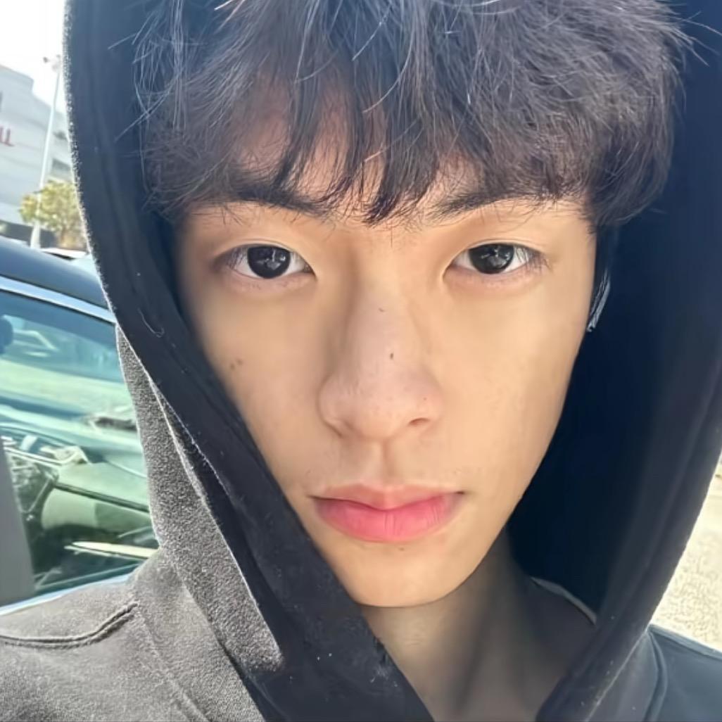 比奇堡最🐮的厨子