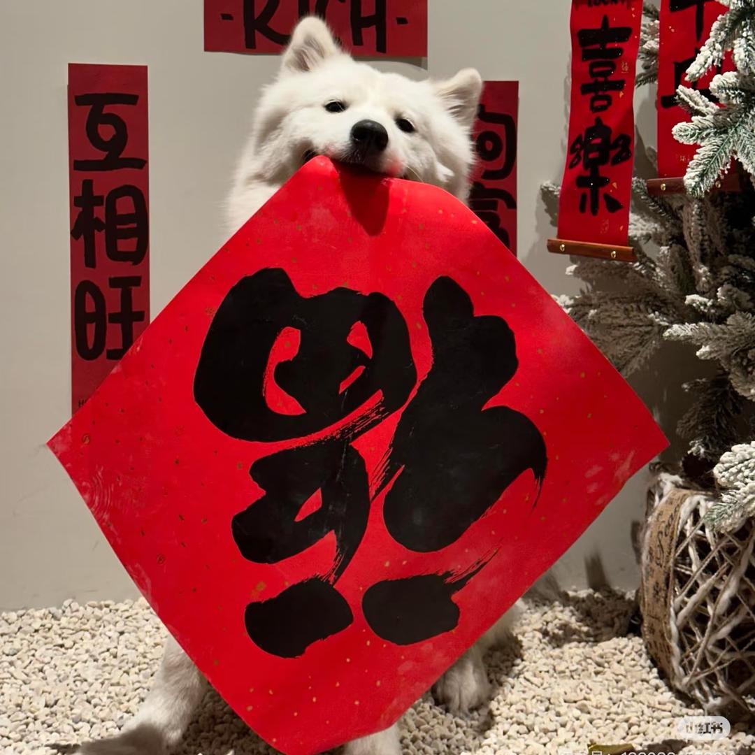 吹晚风