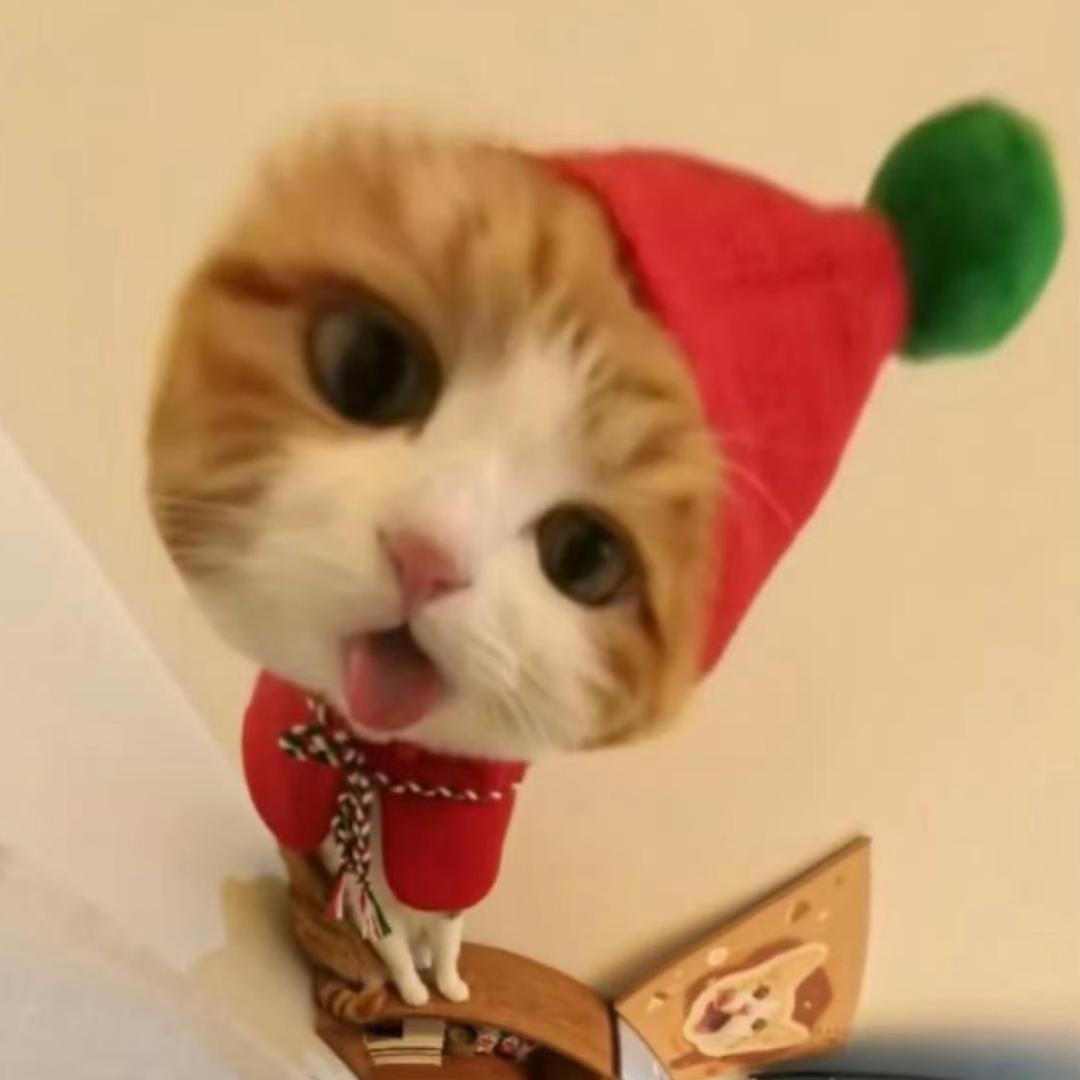 小亦亦亦亦.（见过时团