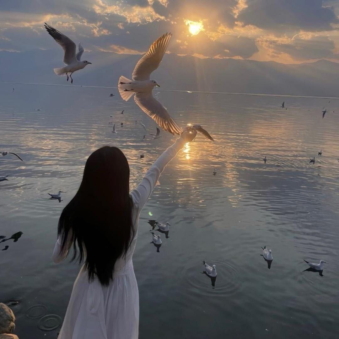 晚风浅浅