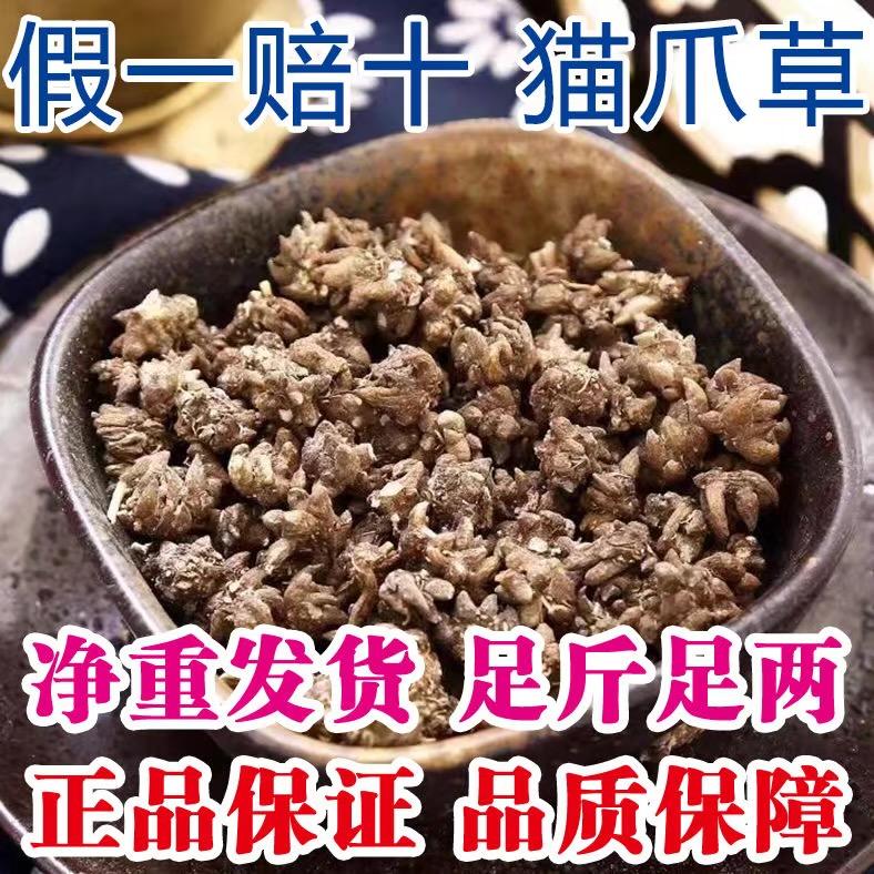 信阳猫爪草直销