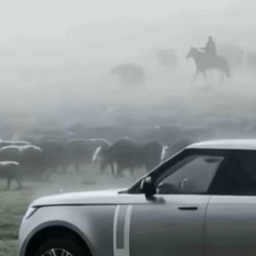 신·