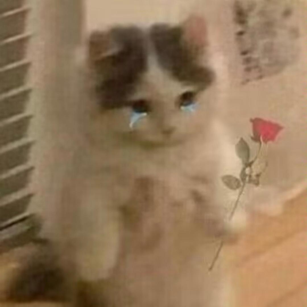 孤单心事.
