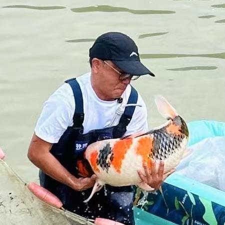 迪哥玩锦鲤店铺