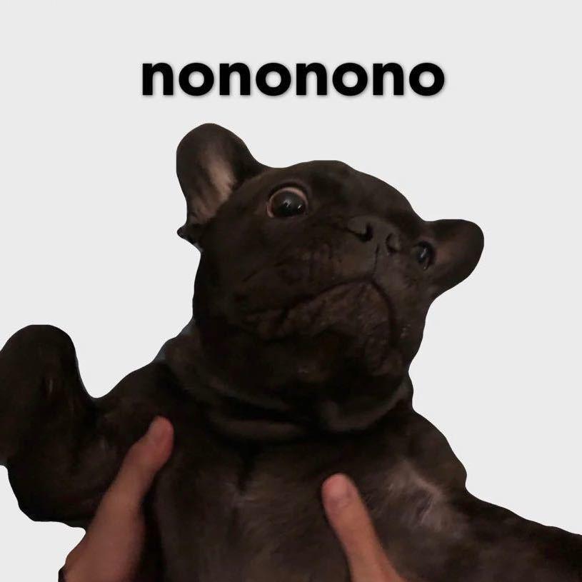 🦦🦦🦦