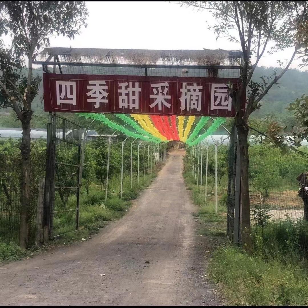 襄城县初野餐饮农家院