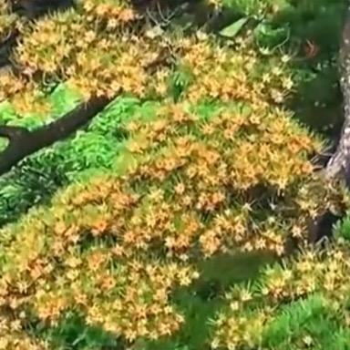 下一站 ，为明天