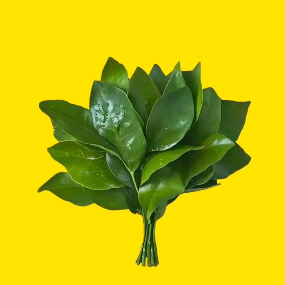 、