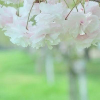 生活能渡
