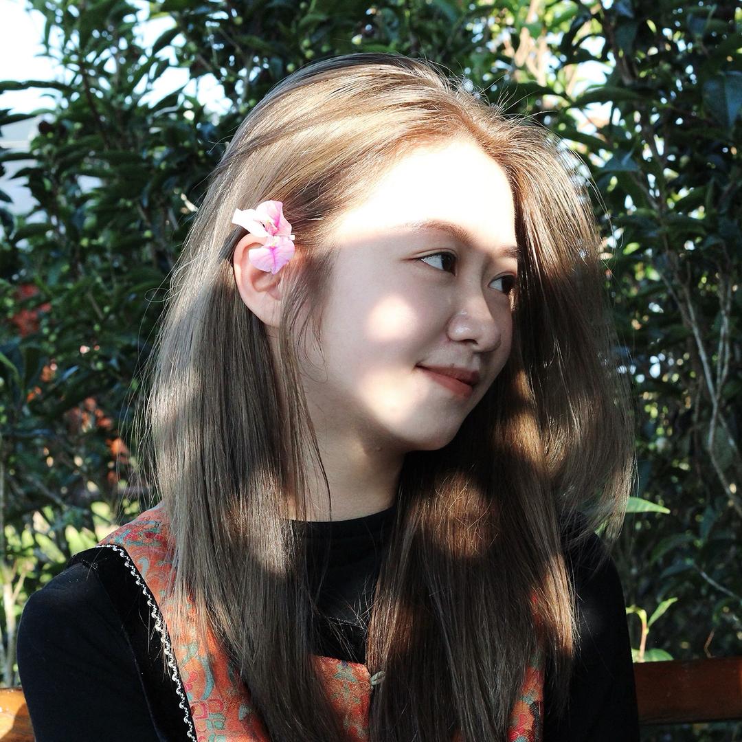 十三🍵凤凰单丛