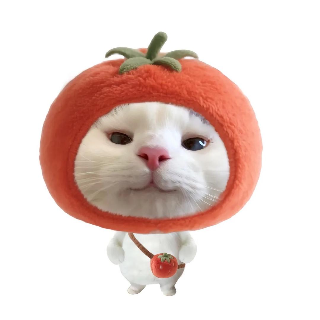 元气少女猪刚鬣