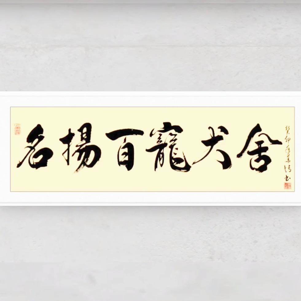 南阳名扬百宠犬舍