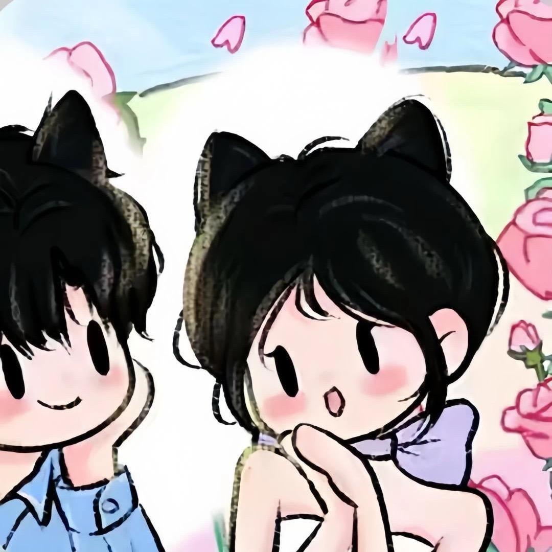 减肥猫猫🐱