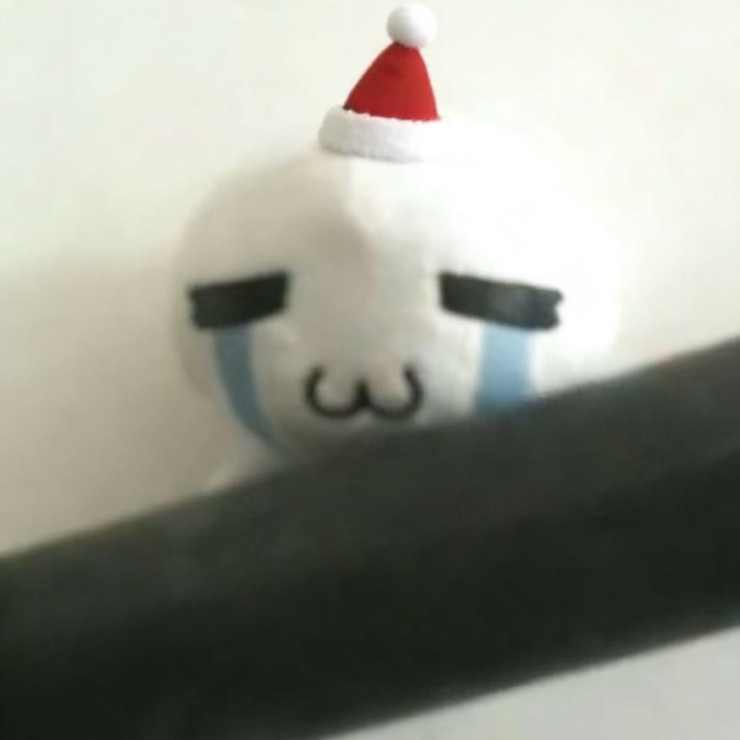 ninja