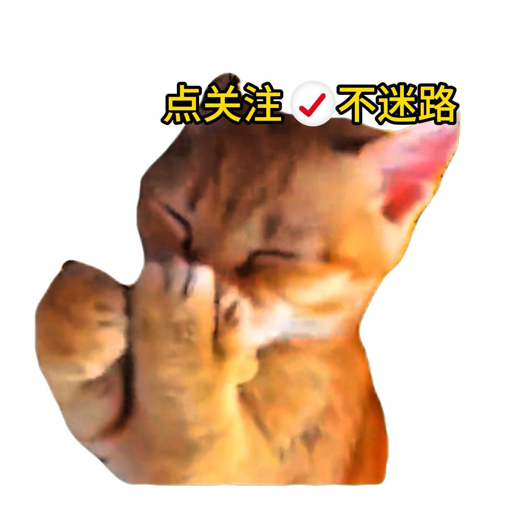 含羞meme小剧场