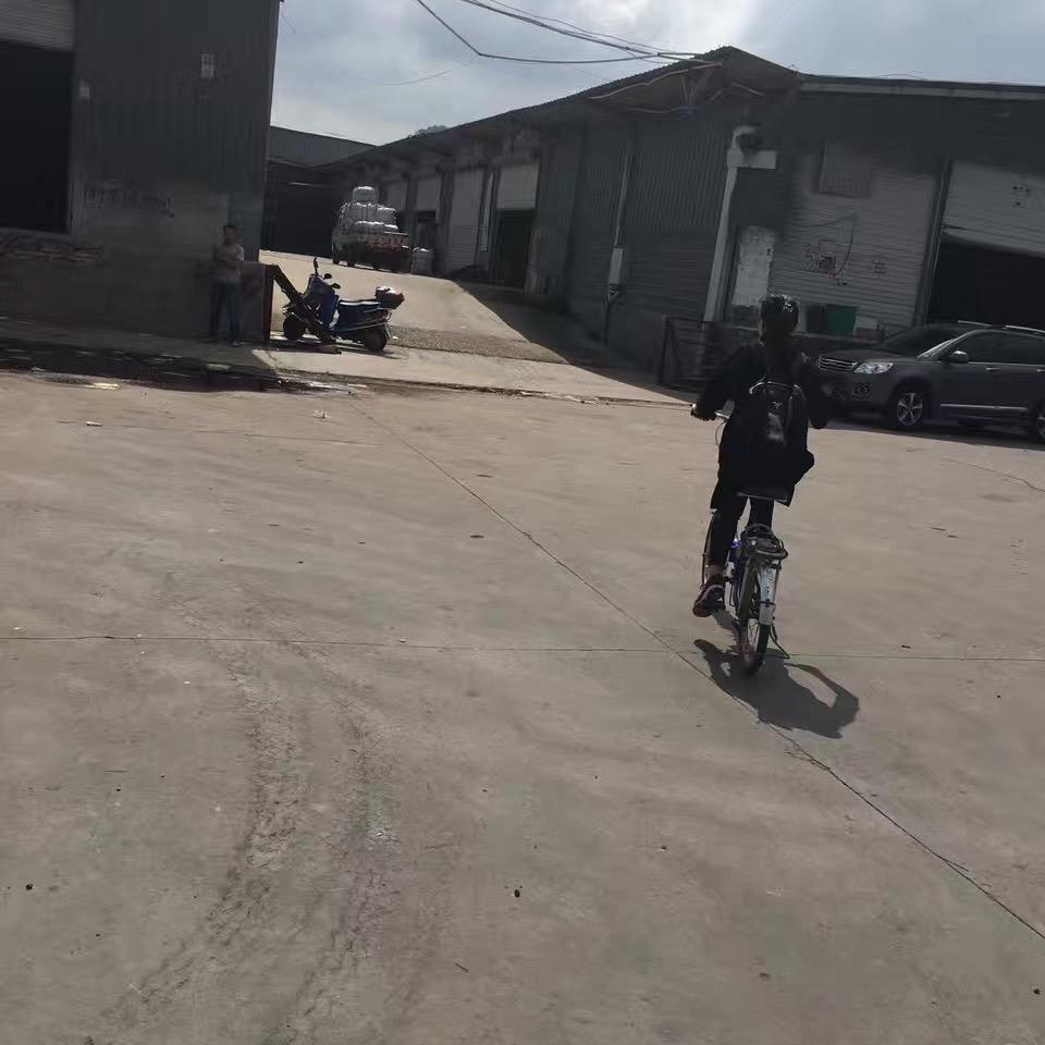 北音执念🇨🇳