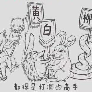 爱美食的飞飞