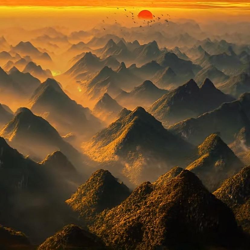 红尘客               🪳