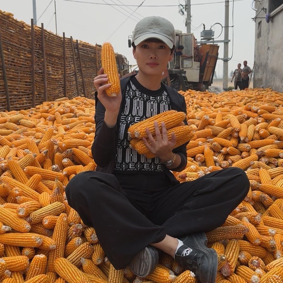 灵芝农资