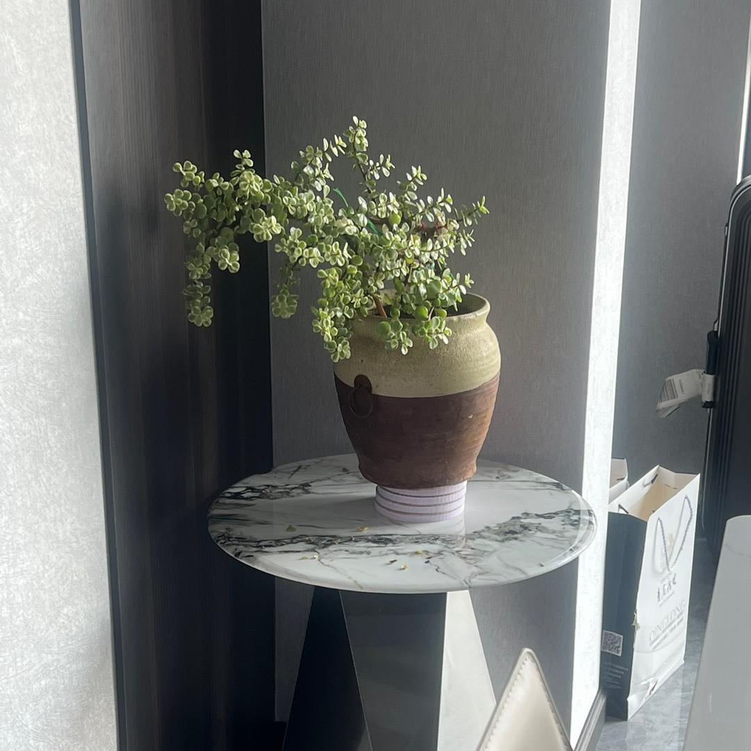 淼淼