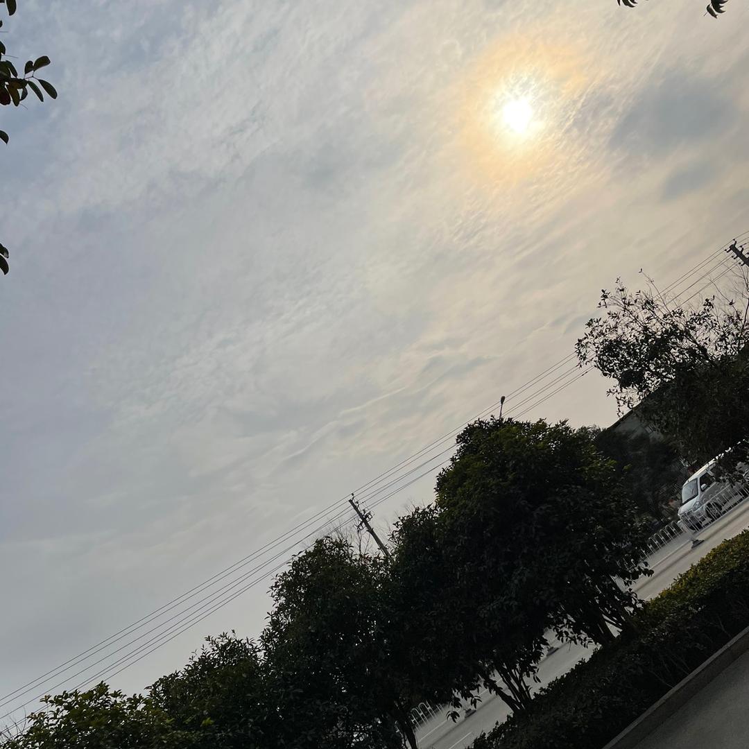 花开知夏
