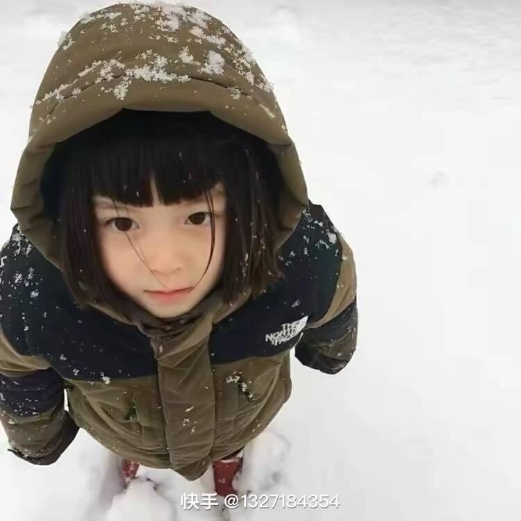 土豆不炒洋芋