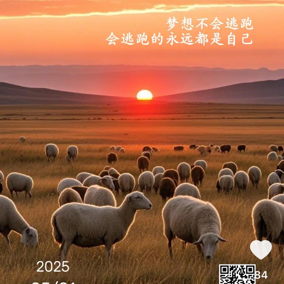 晓姚
