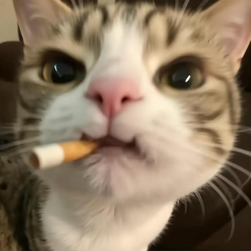 小🐟想睡觉