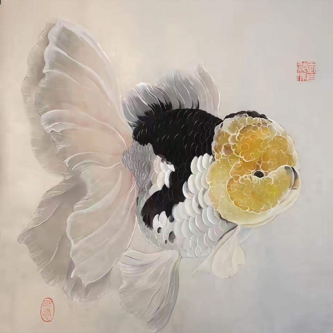 鱼佰万的快乐生活