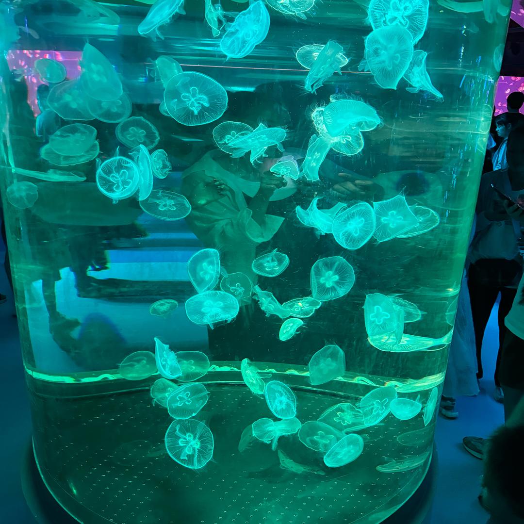 阿涛-空絔