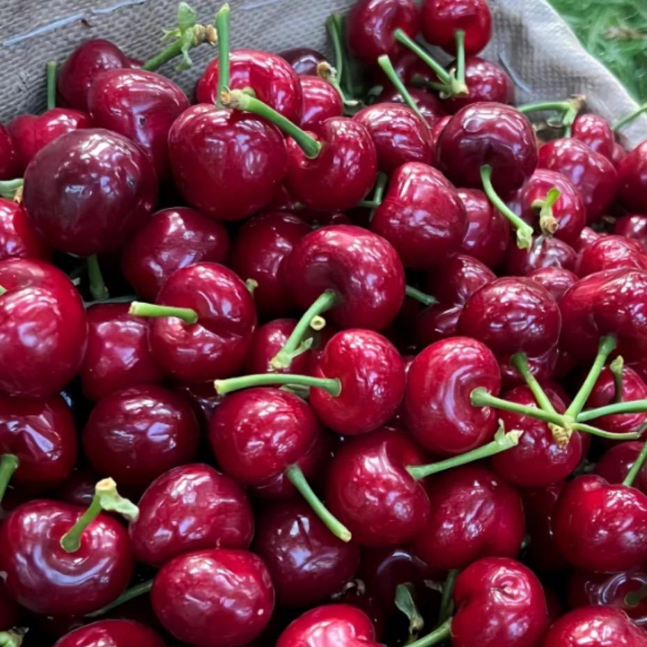 梧州长洲区果然有礼水果店（个体工商户）