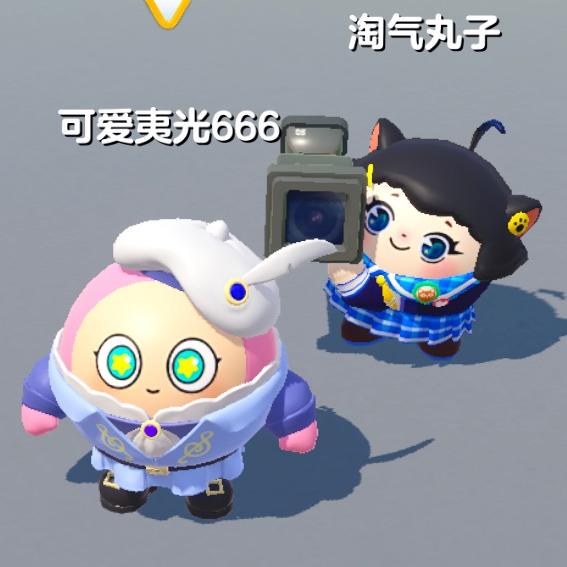 鸡蛋鸭蛋荷包蛋