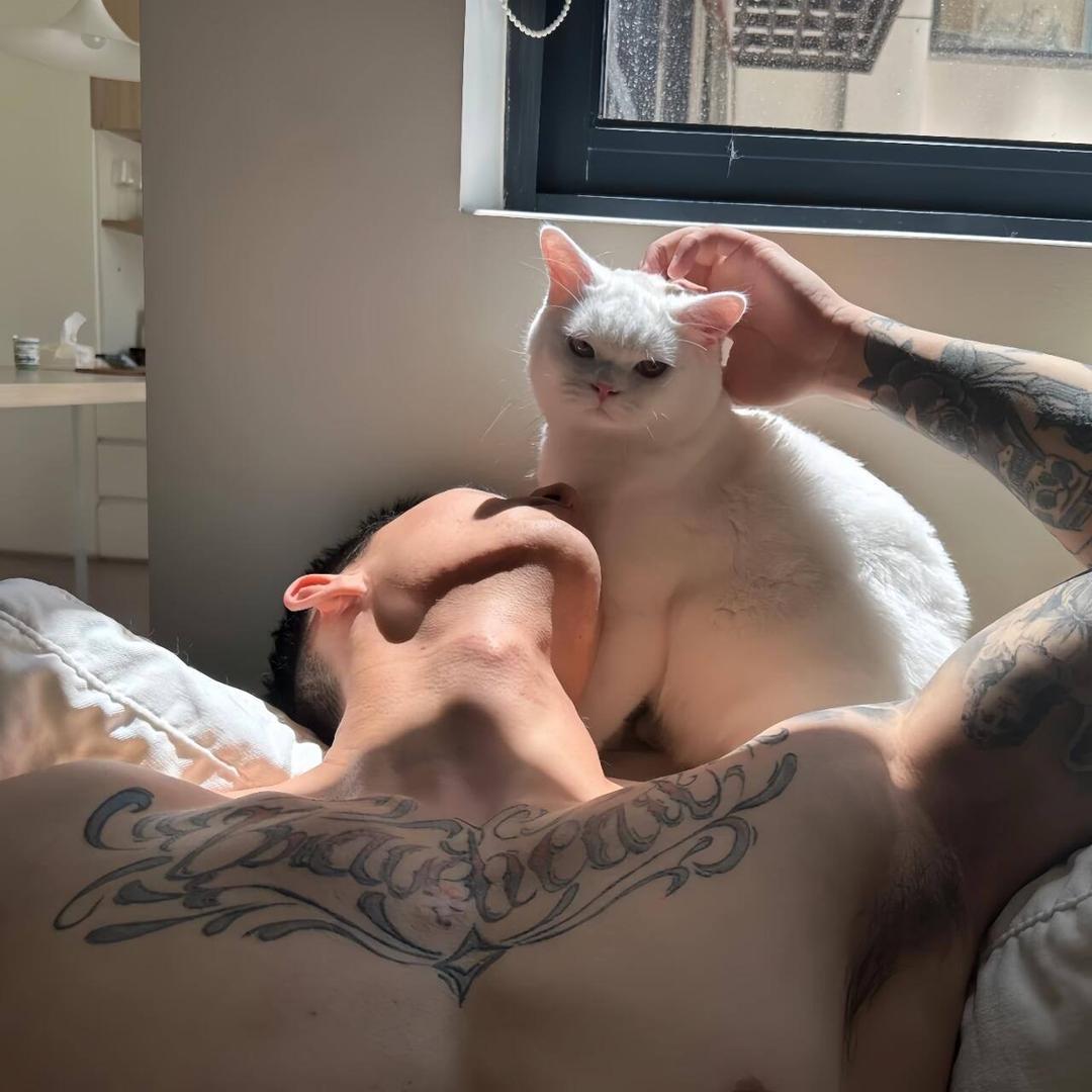 殉情🥧