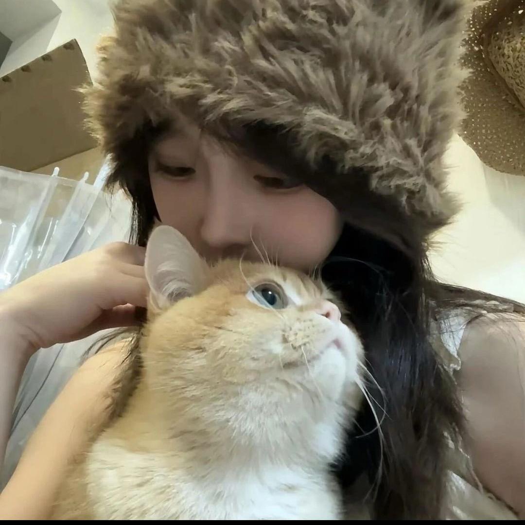 梨花猫