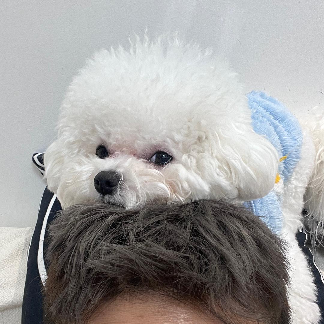 臭脸比比曹宾利