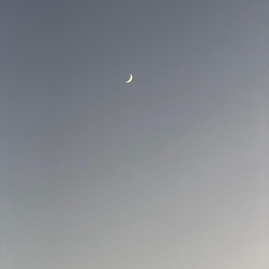 糖糖……