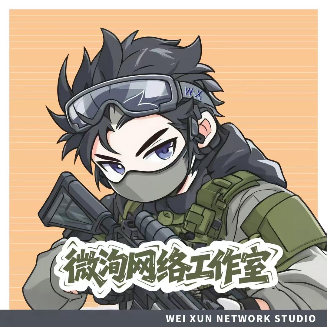 微洵电竞（三角洲代肝）