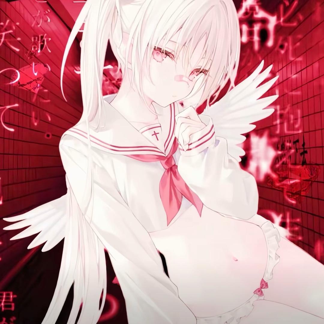 白鸟律