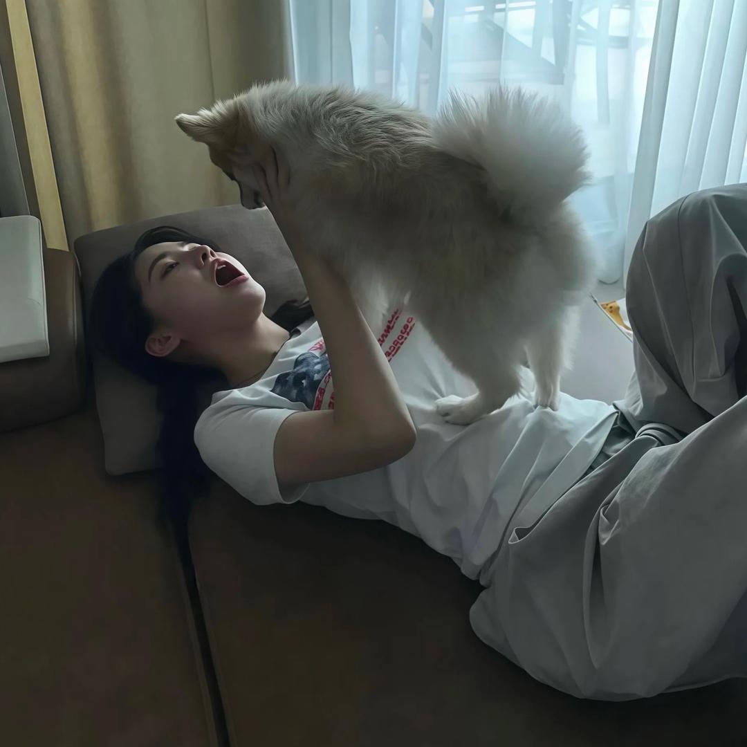 A豆嘻嘻豆豆嘻嘻