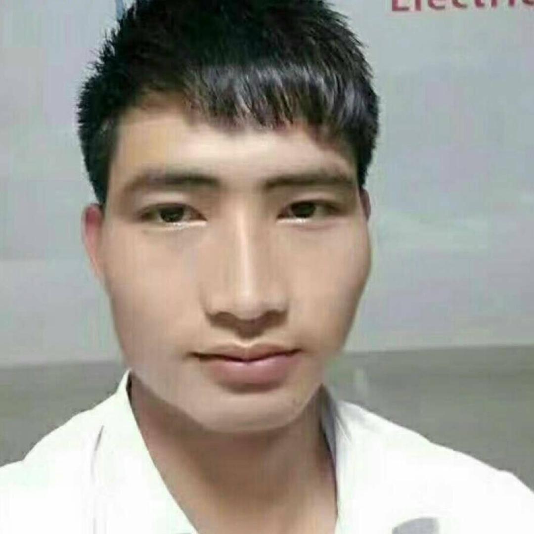 广东茂名水果代办忠记