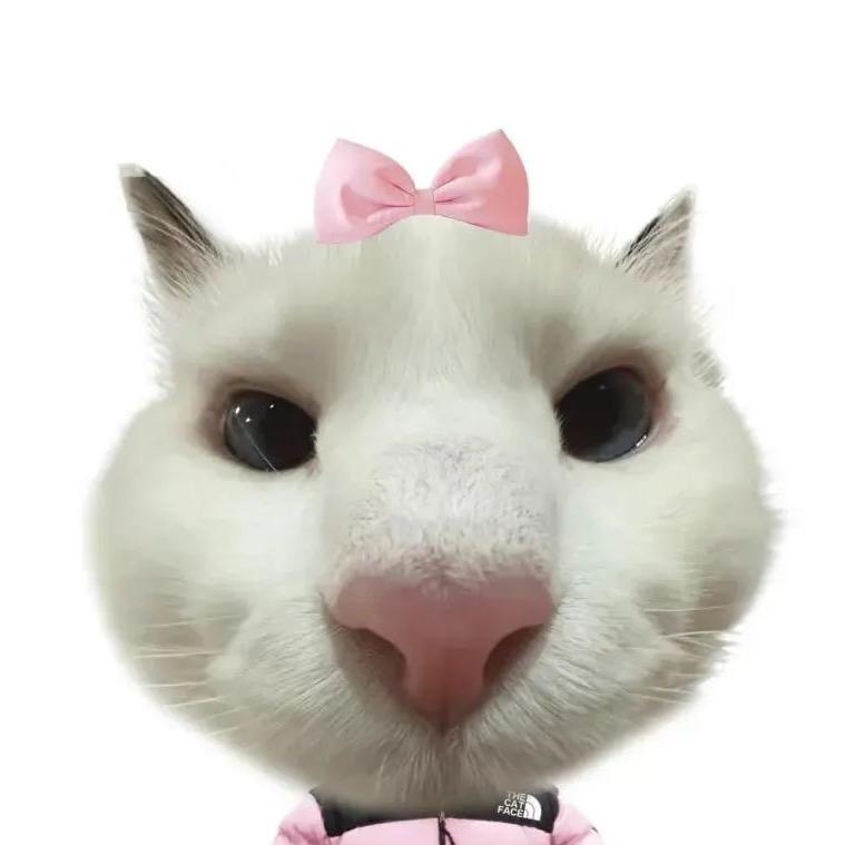 程艾影_