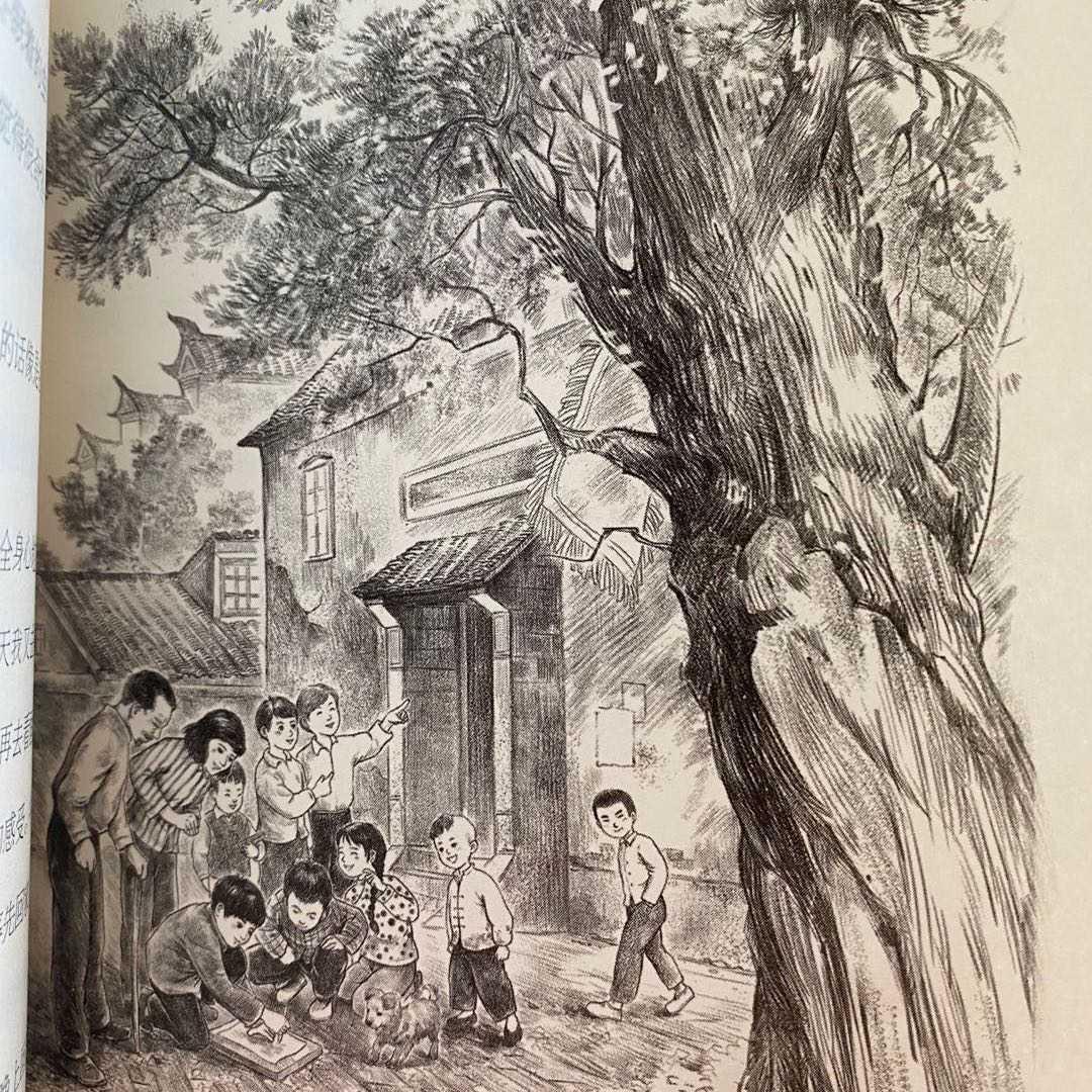 涵大大