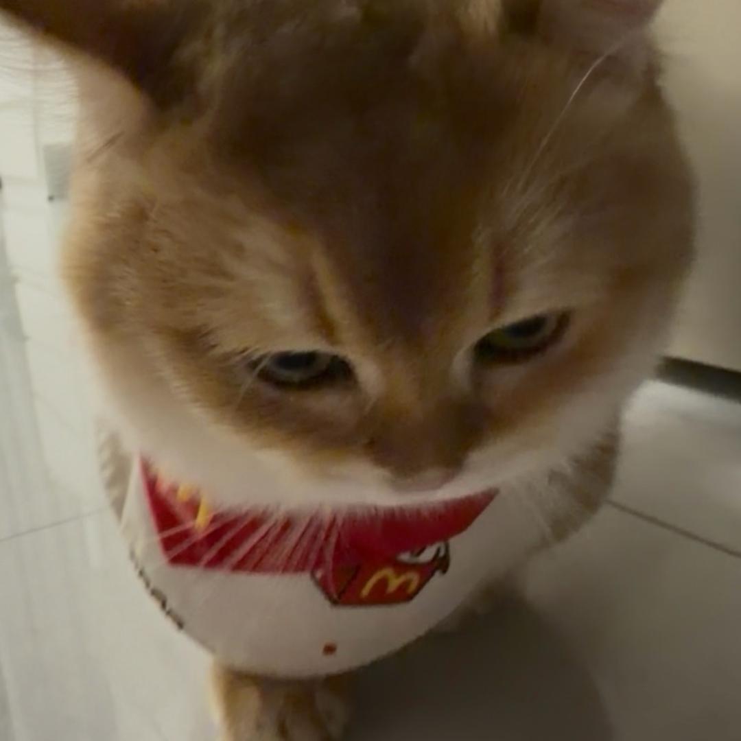 盒子是个大乙巴